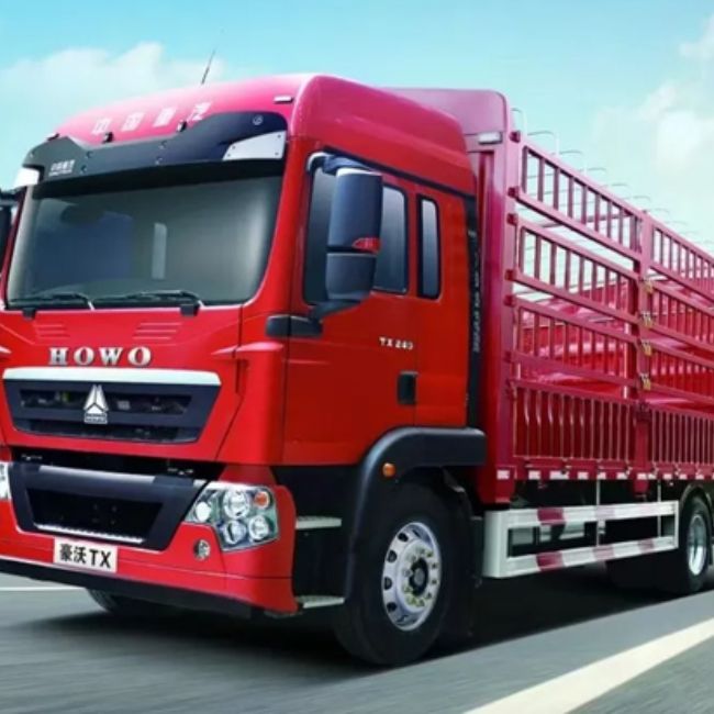 Sinotruk Howo TX 4x2 Cargo Truck European Classic.